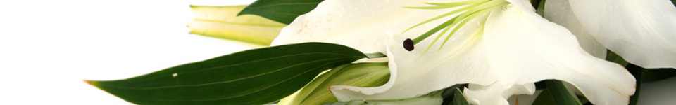 Funeral Flowers
