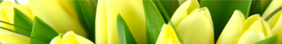 Lemon Flowers