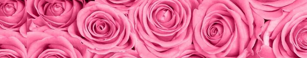 Pink Flowers