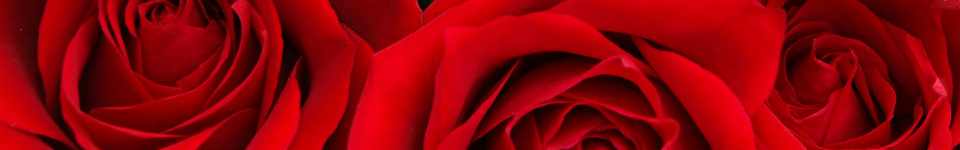 Red Flowers