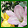 Fragrant Freesia range 