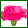 Fresh Carnations range 