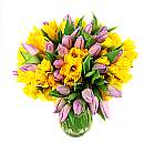 Link to Spring Flowers