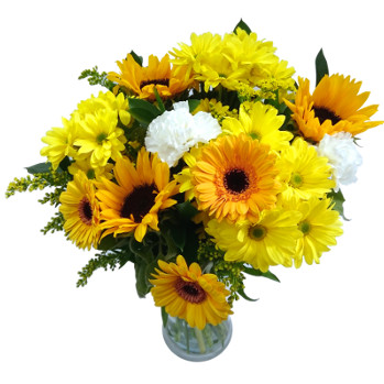 Flowers for Occasions  Special Occasion Flowers by Clare Florist