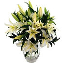 Link to Sympathy Flowers