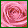 Mother's Day Flowers range 