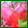 Seasonal Flowers range 