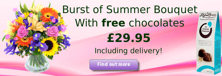 The Burst of Summer Bouquet; special offer flower delivery by Clare Florist The Burst of Summer Bouquet; special offer flower delivery by Clare Florist