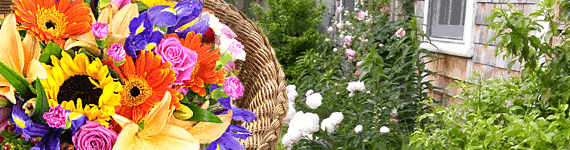The Burst of Spring Bouquet; �29.99 special offer flower delivery by Clare Florist