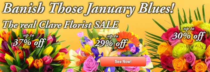Send Flowers anywhere in the UK at great prices January Sale Savings from Clare Florist