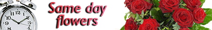 Same Day Flowers