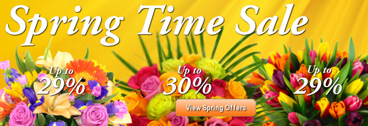 Spring Flowers delivered by Clare Florist Spring Flowers for next-day delivery