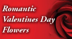 Fantastic fresh Valentines Day flowers for that special someone, delivered throughout the UK Roses for Valentines Day Delivery