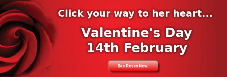 Fantastic fresh Valentines Day flowers for that special someone, delivered throughout the UK