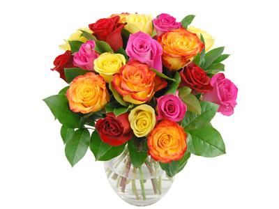 Rainbow Roses beautiful fresh cut roses for your home