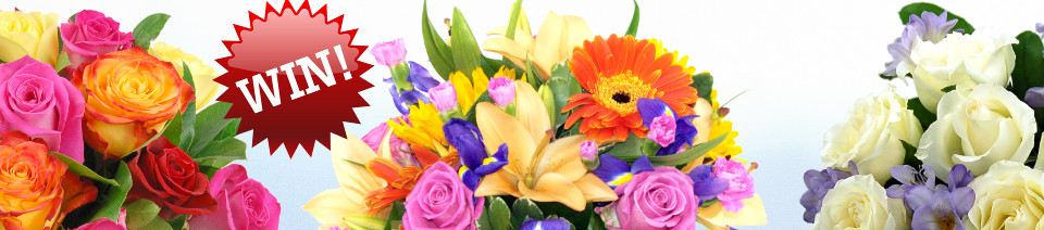 Win Flowers from Clare Florist