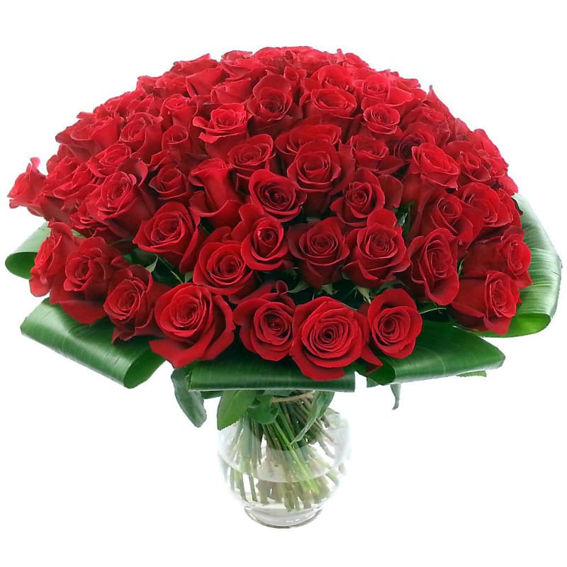 100 Red Roses