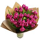 Pretty pink tulips presented in their very