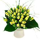 50 Lemon Tulips