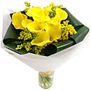 La la Yellow Calla Lilies - add style and colour any modern interior.