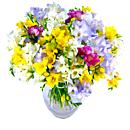 Freesia fragrance, a luxury arrangement of stems of Freesia flowers availlable for next day free delivery..
