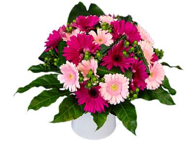 gerbera gem bouquet