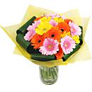 The Gerbera Sunshine Bouquet is packed full of vibrant cerise and pink germinis. The colours are outstanding and reflect the Summer months brilliantly.
