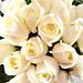 Pure (15) - Aspidistra / Me And The Almost Beautiful Girl Pure (15) - Aspidistra / Me And The Almost Beautiful Girl