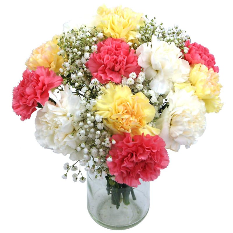 mixed carnations