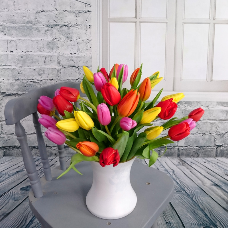 Mixed Tulips