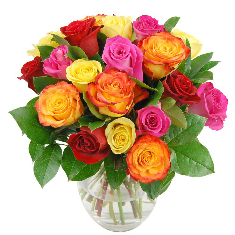 rainbow roses by clare florist