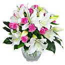 Rose and Lily; An elegant collection of lustrous pink roses intermingled with crisp fresh white lilies, embraced with lush green foliage.