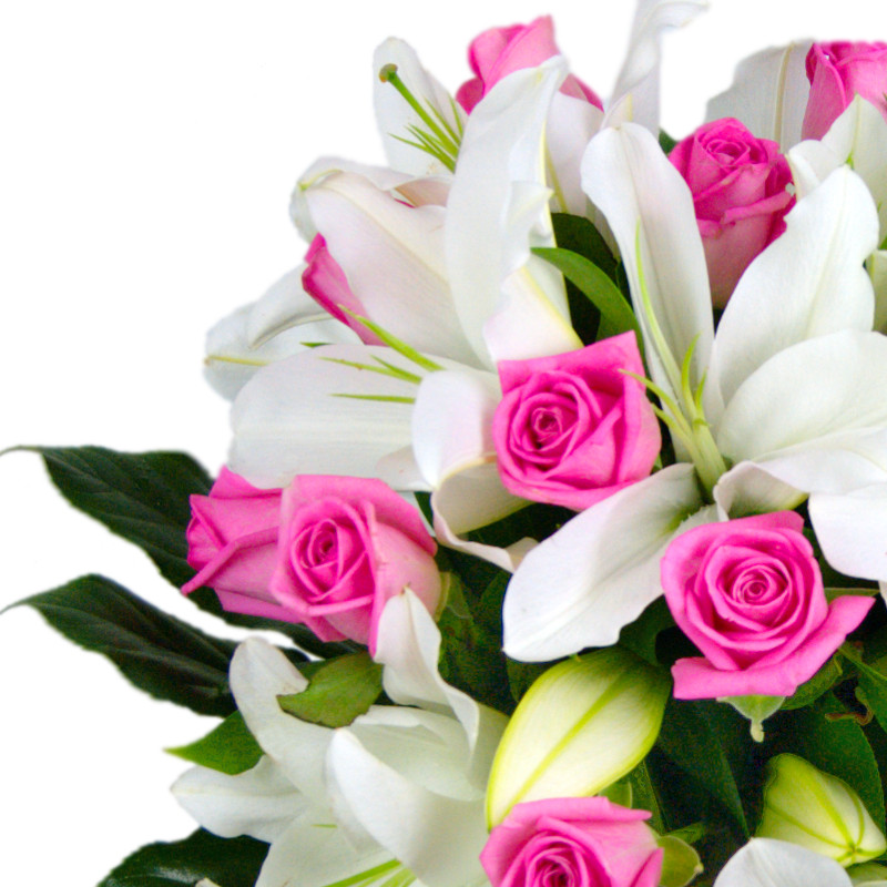rose and lily fresh