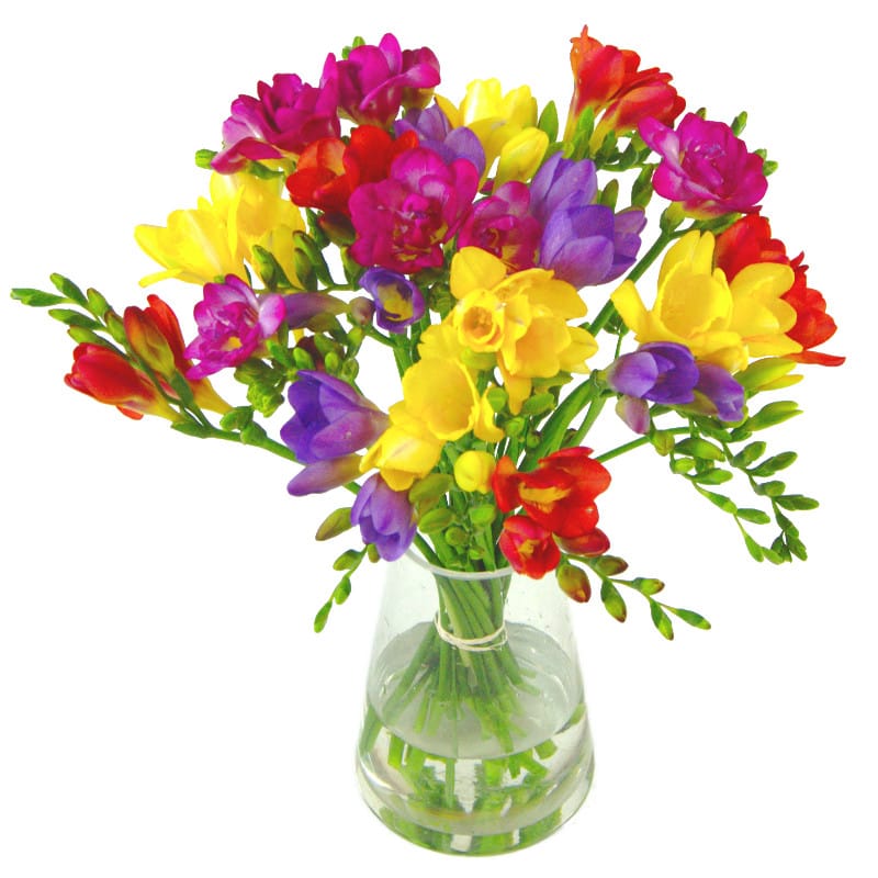 scented freesia bouquet