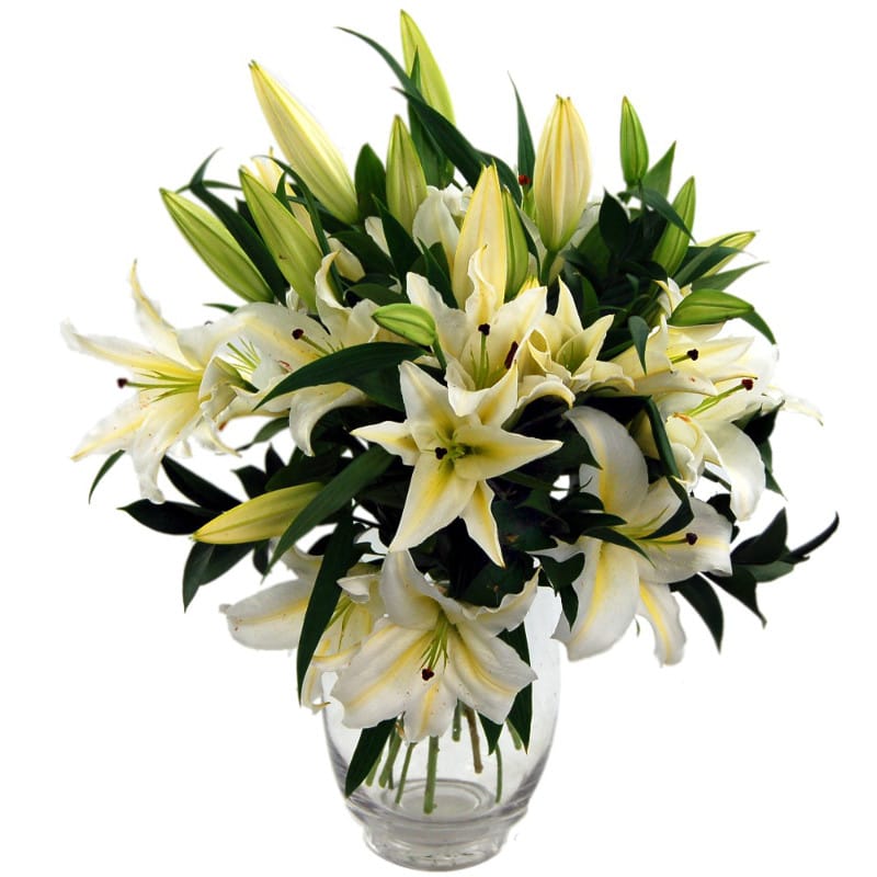 simple lilies flower bouquet