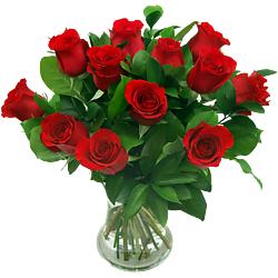 12 red roses - true romance