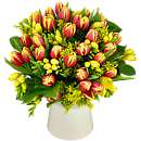 Tulip and Freesia Bouquet; A fabulous bouquet of Tulips, Freesia and Solidaster which will bring vibrant colour and a sweet fragrance to any home.