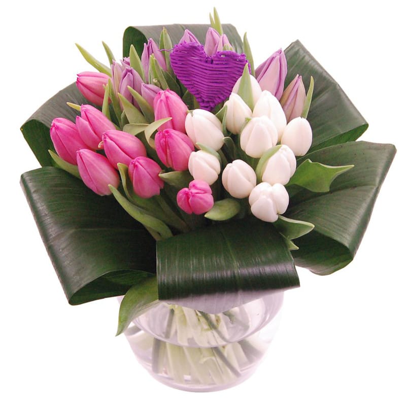 tulip love flower by clare florist