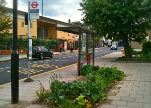 Edible Bus Stop image 2