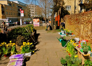 Edible Bus Stop image 2