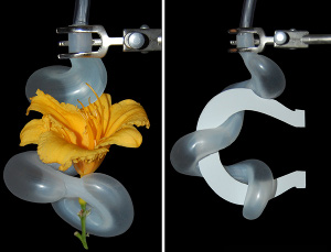 Robot tentacle picking up a flower
