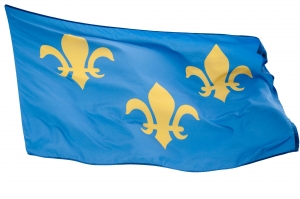 Fleur de Lis