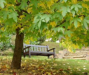 London Bench