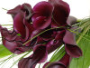 Image of Black Cala Lilies available from Clare Florist