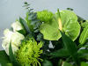 Image of the green Lime bouquet from Clare Florist