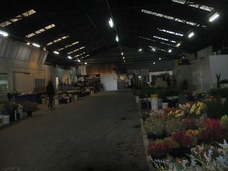 Adelaide-Flower-Market-2