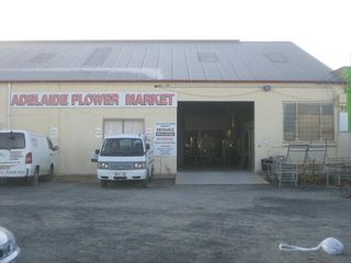 Adelaide-Flower-Market-1