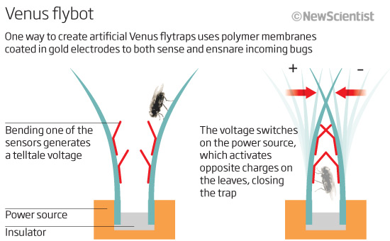 Robotflytrap