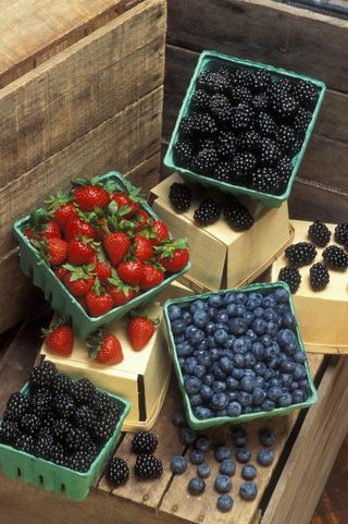 Punnets of berries