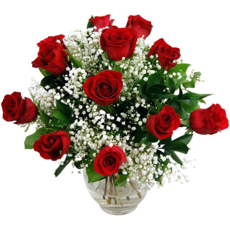 Twelve Red Roses Fresh Flower Bouquet Hand Tied Collection of 12 Red